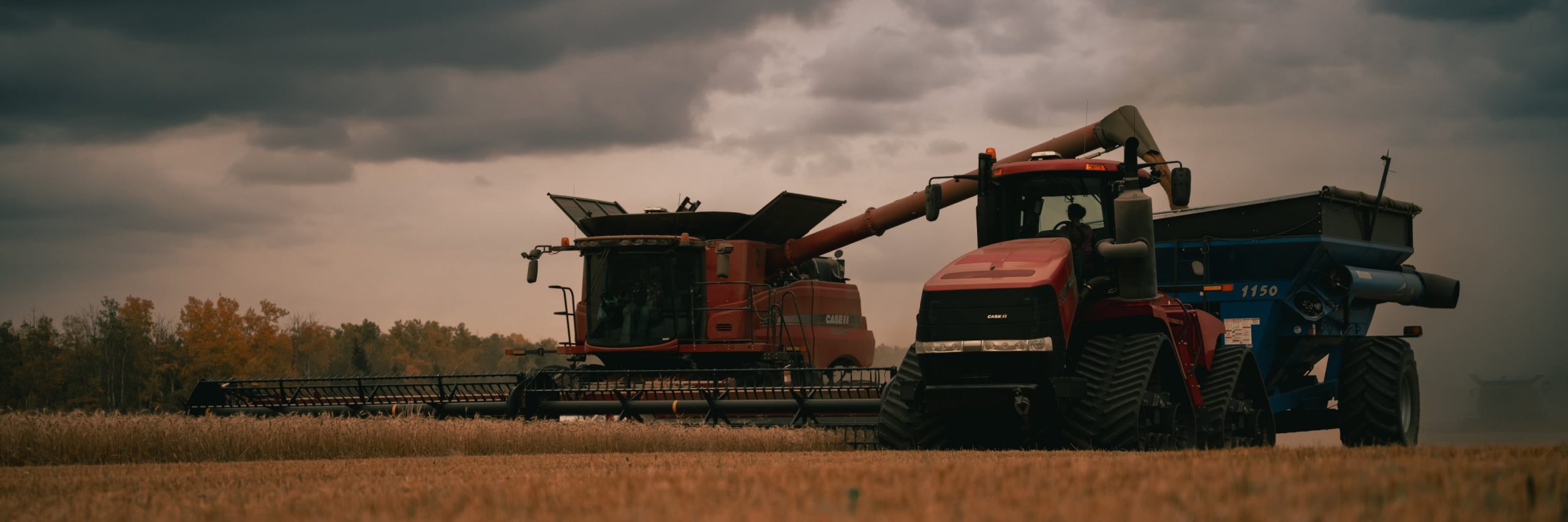 combine harvesting and tractor pulling grain cart